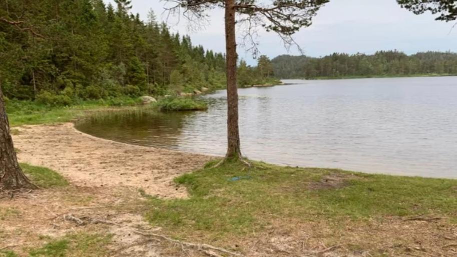 Cabin In The Woods, Lolandsvannet Near Kristiansand Vennesla Экстерьер фото