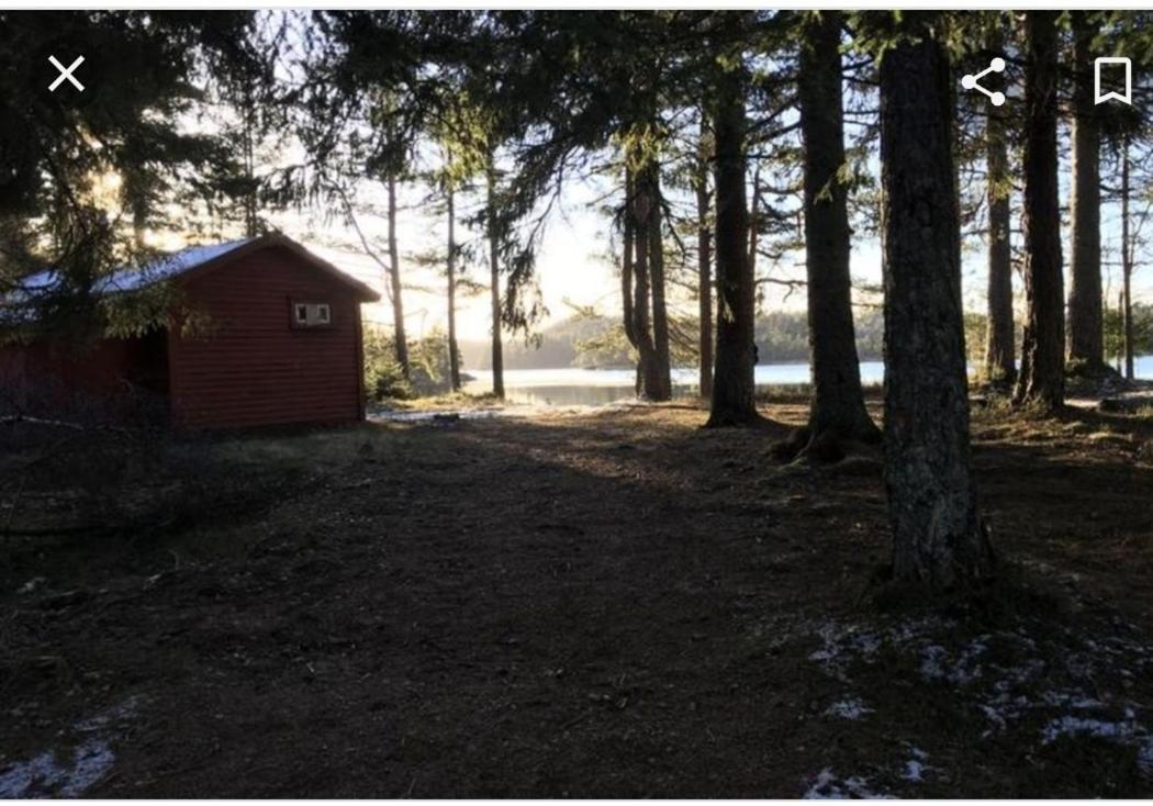 Cabin In The Woods, Lolandsvannet Near Kristiansand Vennesla Экстерьер фото